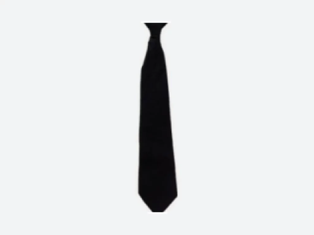 CT01 CLIP-ON TIES