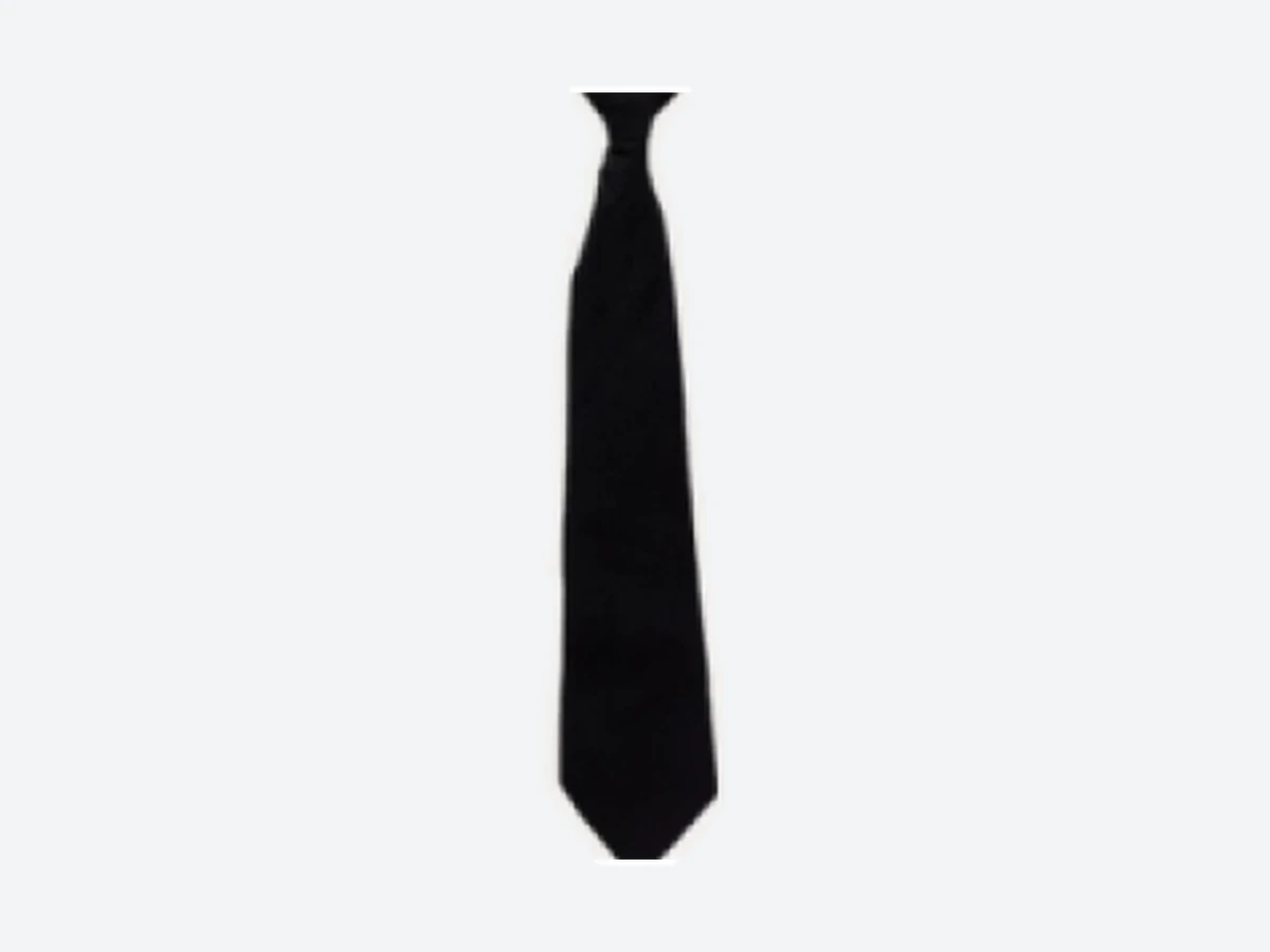 CT01 CLIP-ON TIES