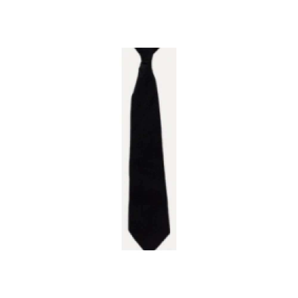 CT01 CLIP-ON TIES product detail