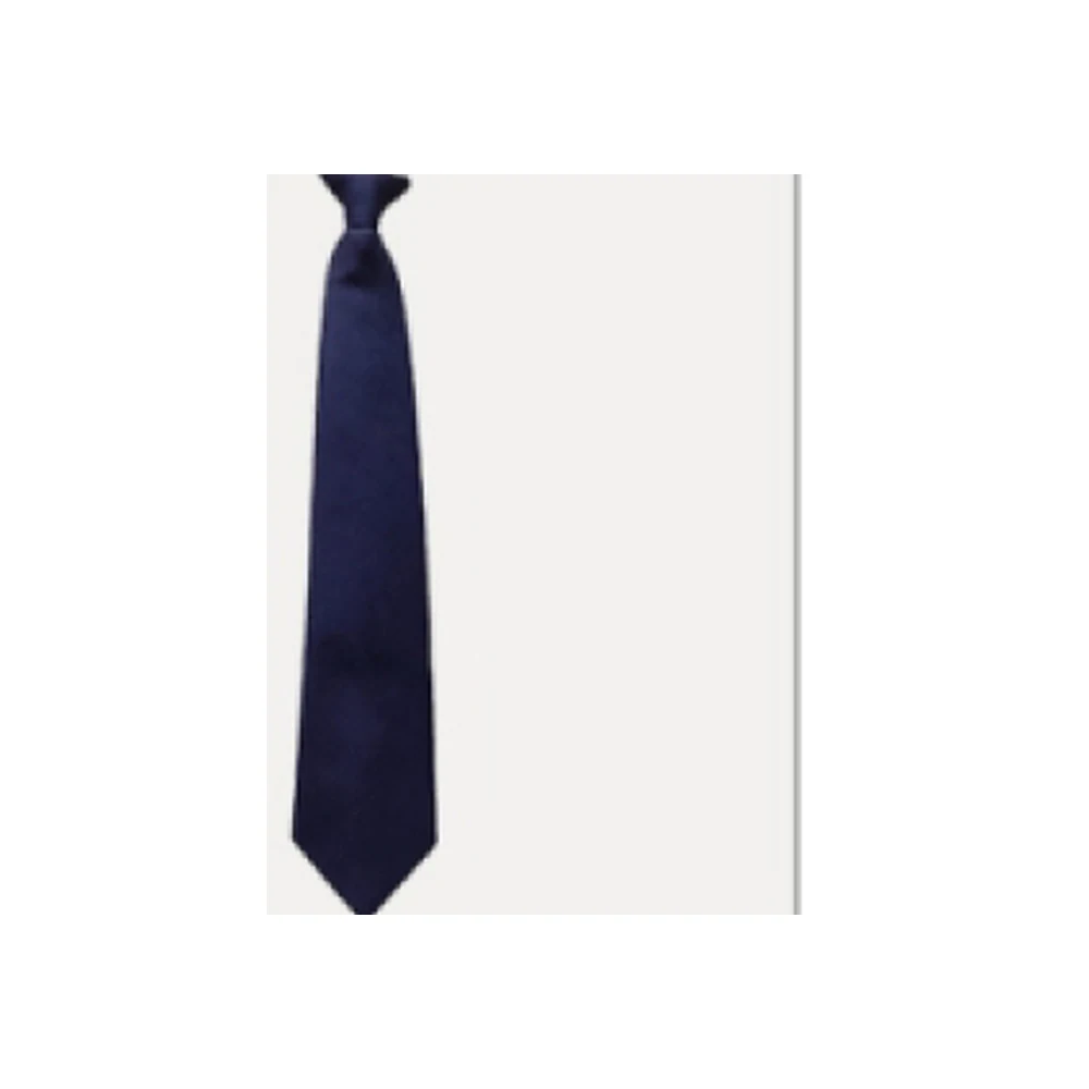 CT01 CLIP-ON TIES product detail